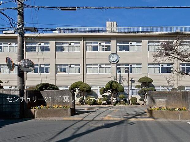 佐倉市立志津中学校まで800m