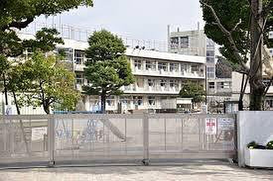 市川市立真間小学校まで305m