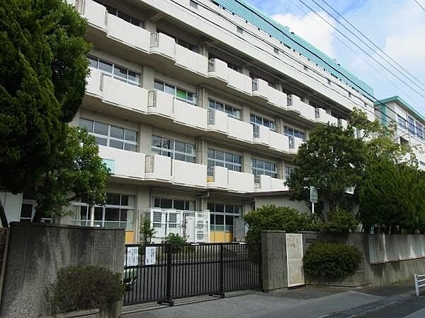市川市立南行徳中学校まで1900m