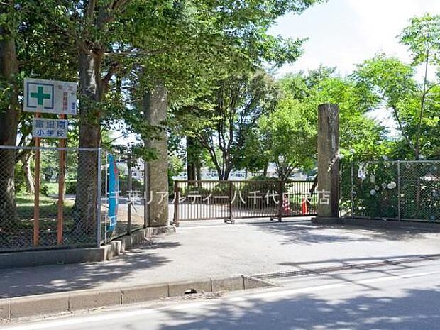 富里市立富里南小学校まで1100m