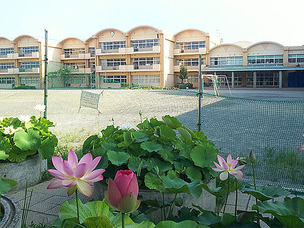 千葉市立瑞穂小学校まで500m
