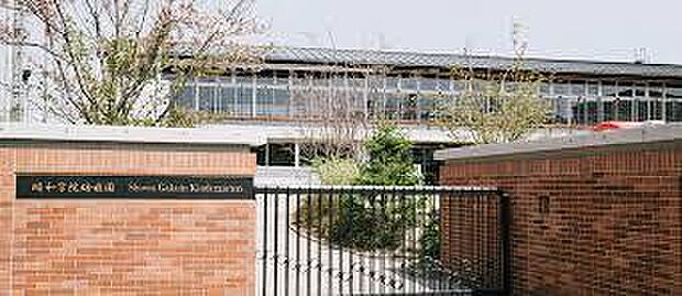 昭和学院幼稚園まで559m