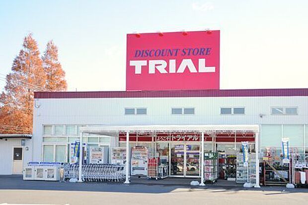 ディスカウントストアトライアルあすみが丘店まで1150m