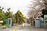 周辺：市川市立中国分小学校まで1013m