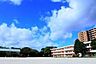 周辺：千葉市立草野小学校まで320m