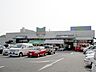 周辺：トウズ京成佐倉店まで1236m