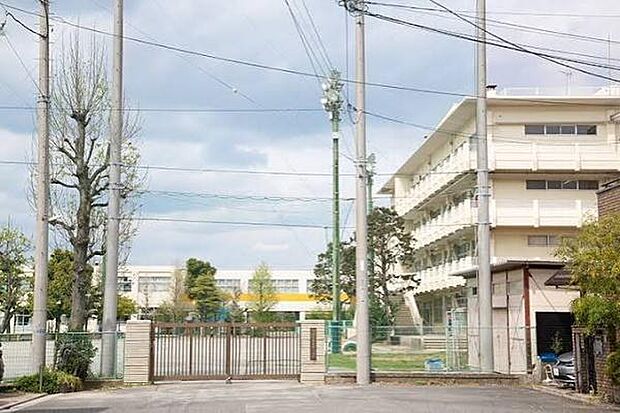 市川市立菅野小学校まで609m