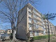 新田駅よりバス16分 徒歩3分 4階 築51年9ヶ月の賃貸物件