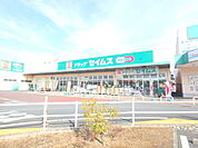 ドラッグセイムスモールプラザ草加中央店まで520m