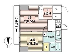 HeLm21 1LDKの間取図画像