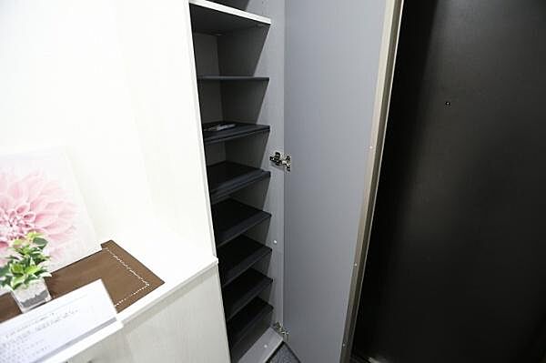 玄関に入って右手側に、姿見付きのシューズボックスが設置されております。こちらは、その内部の様子を撮影したものでございます。