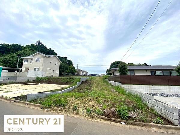 外観：311002324258