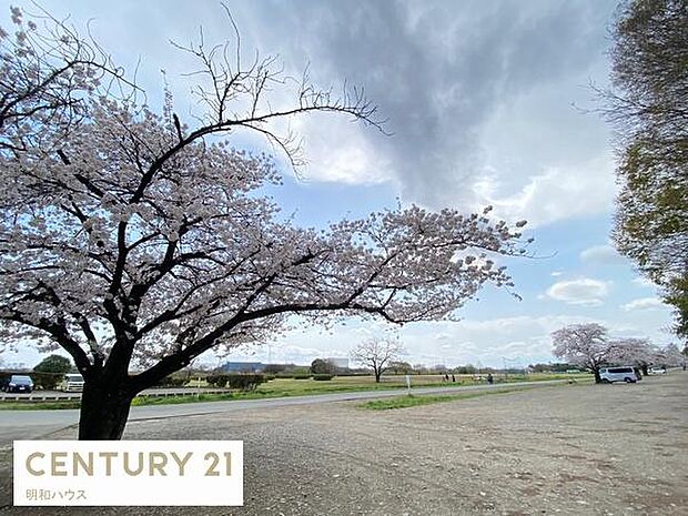 安比奈新田親水公園まで861m