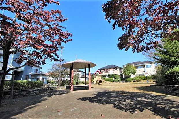 富士見五反町公園まで462m