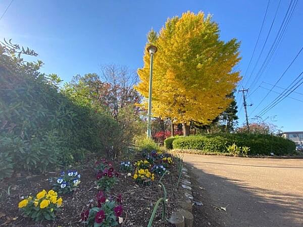 鶴ヶ島富士見中央近隣公園まで464m