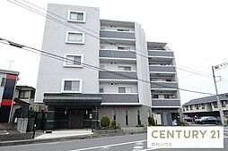 エバーグリーン若葉