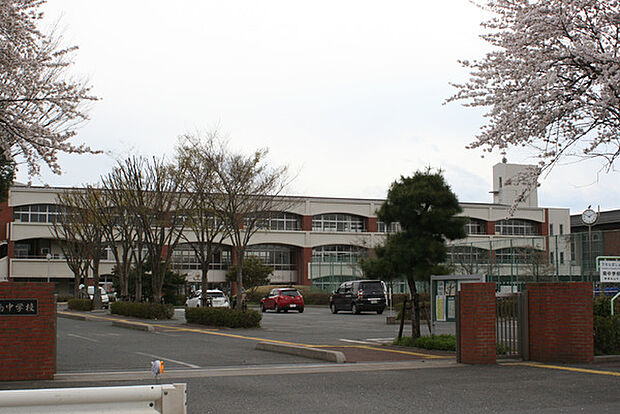 東松山市立南中学校まで1700m