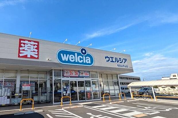 ウエルシア毛呂山平山店まで1300m