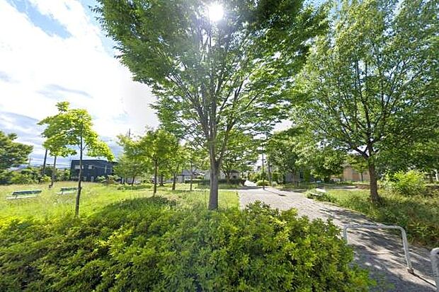 かわせみ公園まで262m