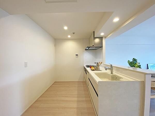 ホームパーティーを催して自慢したくなるオシャレな空間のキッチン。この雰囲気に合わせる家具や家電探しはワクワクばかり。素敵な演出が完成したら、ホームパーティーの企画に取り掛かりましょう