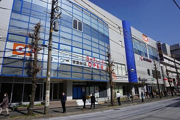 オーケー青葉台店まで1254m