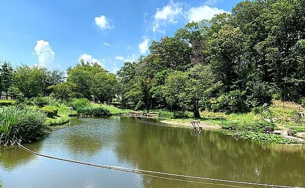 桜台公園まで600m