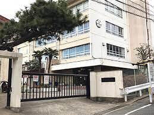 川崎市立西有馬小学校まで717m