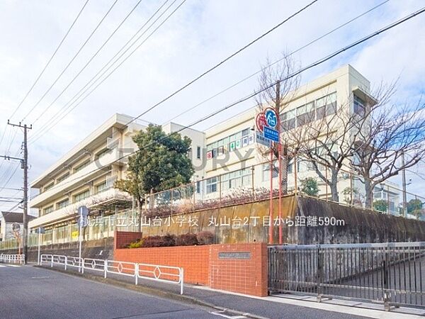 横浜市立丸山台小学校まで590m、横浜市立丸山台小学校