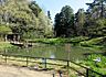 周辺：藤が丘公園まで270m、藤が丘公園