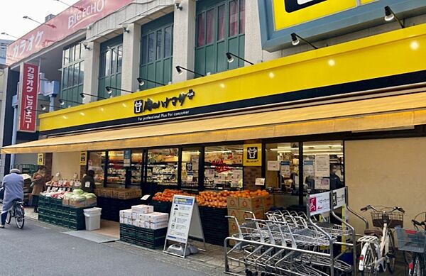 肉のハナマサ Plus+綱島店まで1500m、肉のハナマサ Plus+綱島店