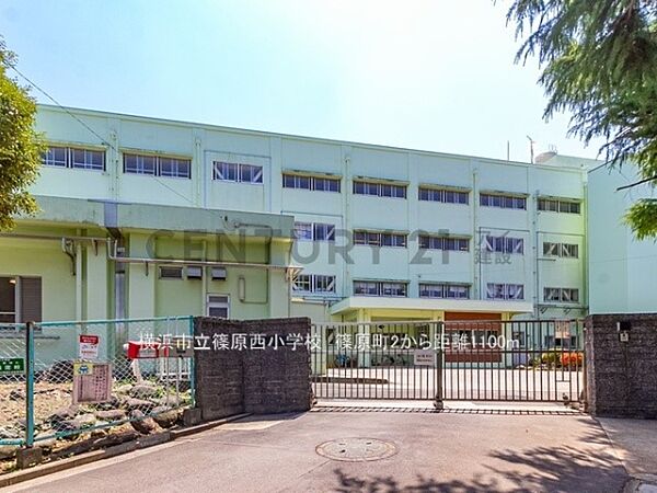 横浜市立篠原西小学校まで1100m、横浜市立篠原西小学校