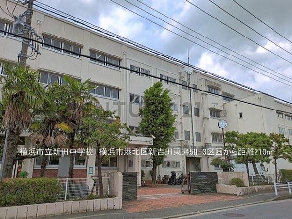 横浜市立新田中学校まで210m、横浜市立新田中学校
