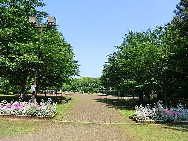 夢見ケ崎公園まで1004m、夢見が崎動物公園が併設された緑豊かな公園です。