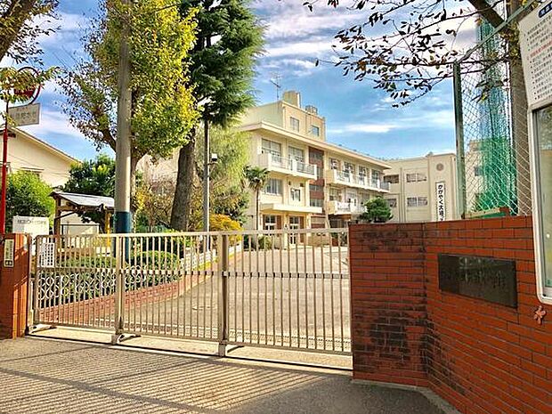 横浜市立大道小学校まで702m