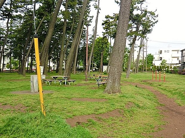 宮沢町第四公園まで374m、地域のイベント会場になることもある緑のきれいな公園(松林公園)