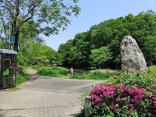 桜台公園まで1325m、散策路があり散歩が楽しめます。春はさくら、秋は紅葉が楽しめます。ベンチ、トイレ、すべり台、ブランコ、鉄棒があります。