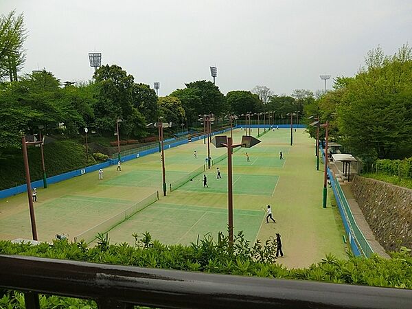 三ツ沢公園まで1038m、ニッパツ三ツ沢球技場や、陸上競技場、テニスコート、馬術練習場、平沼記念体育館、県立スポーツ会館など多様な運動施設がある。