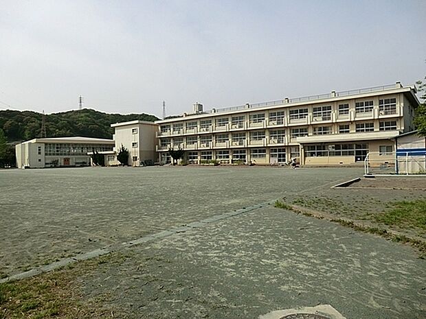 鎌倉市立玉縄小学校まで340m、