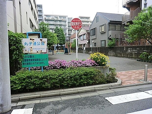 丸子通公園まで681m、敷地は小さめながら、遊具が充実しているのが印象的です。鉄棒やブランコ、砂場、スプリング遊具などはひと通りあります。