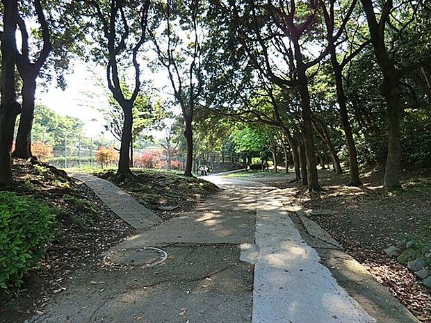 富岡総合公園まで446m、桜並木、梅林、ボタン園では四季折々の花を見ることができます。特に桜並木は花見名所として春には多くの花見客が訪れています。