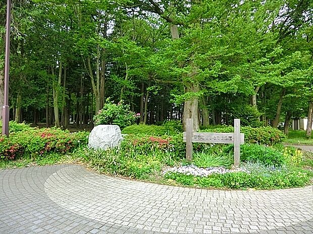 南台こどものもり公園まで1586m、瀬谷区南台2丁目にある緑豊かな公園。ヒノキの遊歩道、いこいの広場、遊具施設などがあります。
