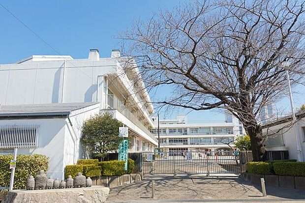 横浜市立西前小学校まで237m