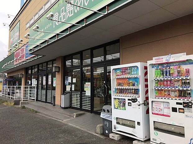 食品館あおば川崎富士見店まで802m、横浜・川崎を中心に店舗展開する食品専門スーパーで、新鮮で高品質な食材が豊富に揃っています。