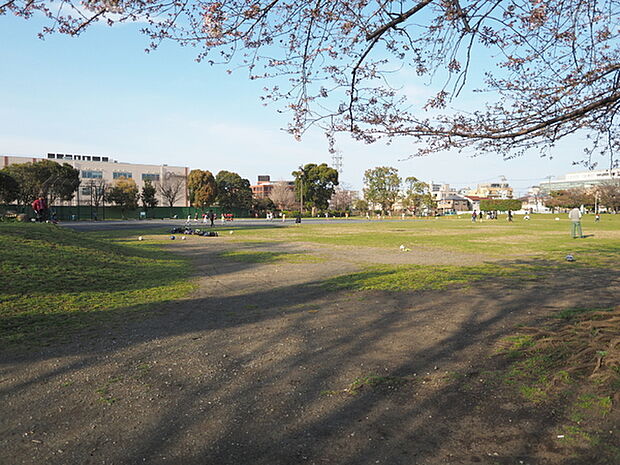 川崎市市民広場まで1124m