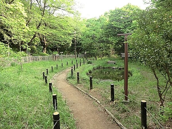 馬場町公園まで770m、森林の中にいるような自然豊かな公園。ヒヨドリやツグミ、シジュウカラなど野鳥観察をしながらの散策もおすすめです。