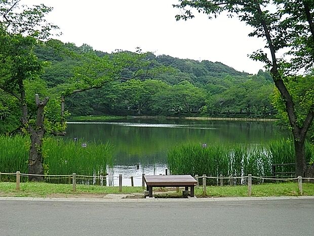 三ツ池公園まで1157m、日本の、さくら名所100選に選ばれている公園。またテニスコートなどの運動施設やパークセンターも備えた総合公園です。