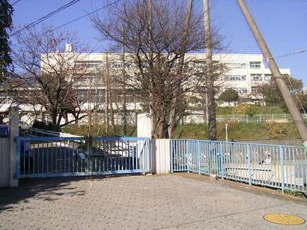 横浜市立上大岡小学校まで215m