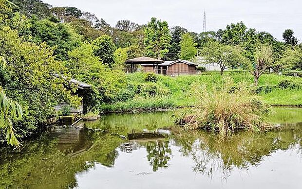 谷矢部池公園まで554m