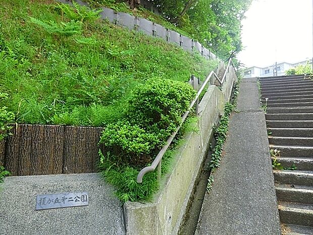 榎が丘第二公園まで743m、榎が丘の高台に位置しています。ほとんど樹木で被われていて木製の階段を登り、山道を歩くような感じで散策することができます。