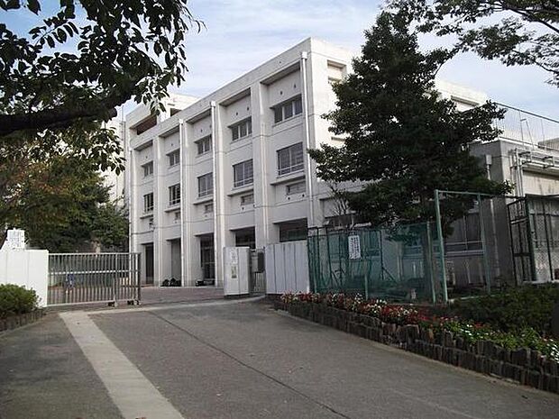 横浜市立平戸中学校まで1244m